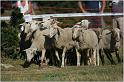 IMG_9573w