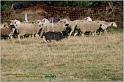 IMG_9578w