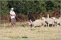 IMG_9579w