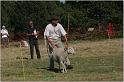 IMG_9588w