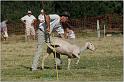 IMG_9590w