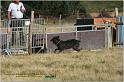 IMG_9611w