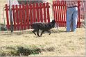 IMG_9620w