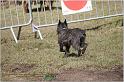 IMG_7478w