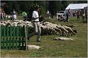 IMG_7487w