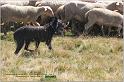 IMG_7492w