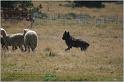 IMG_7501w