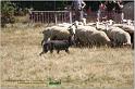 IMG_7514w