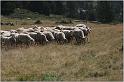 IMG_7539w