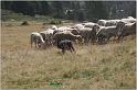 IMG_7541w