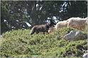 IMG_7551w