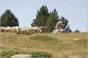 IMG_7555w