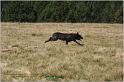 IMG_7573w