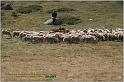 IMG_7581w