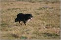IMG_8433w