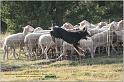IMG_8451w