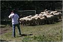 IMG_9072w