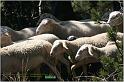 IMG_9073w