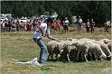 IMG_9084w