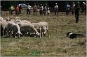 IMG_9085w
