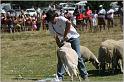 IMG_9087w