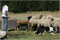 IMG_9090w