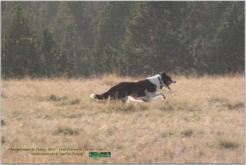 IMG_8481w.jpg
