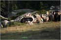 IMG_8464w