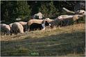 IMG_8466w