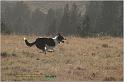 IMG_8480w