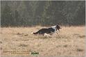 IMG_8481w
