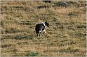 IMG_8490w
