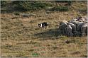IMG_8492w