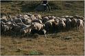 IMG_8493w