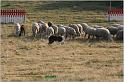 IMG_8494w