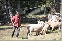 IMG_8913w