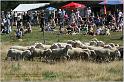 IMG_8930_2w