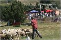 IMG_8941w