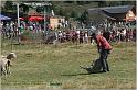 IMG_8942w