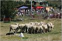 IMG_8943w