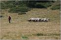 IMG_8975w