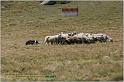 IMG_8976w