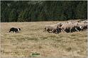 IMG_8980w
