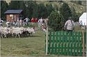 IMG_8339w