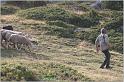 IMG_8364w
