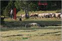 IMG_8385w