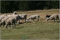 IMG_9364w