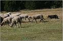 IMG_9365w