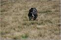 IMG_9385w