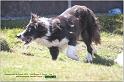 IMG_9393w
